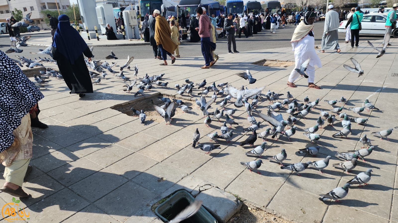  صور لمعتمري مدينة يافا أثناء تواجدهم في الديار الحجازية